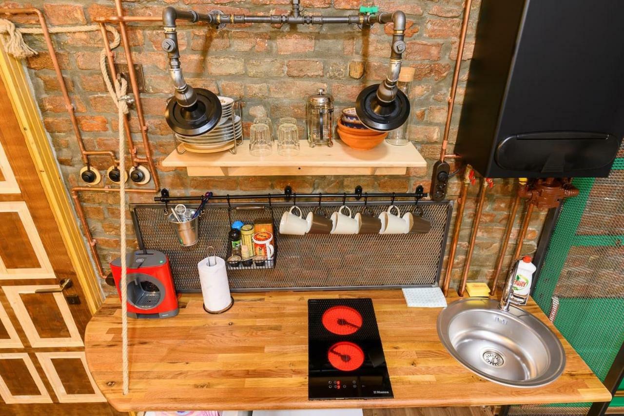 Studio V - Industrial & Original - Old Town Apartman Kolozsvár Kültér fotó