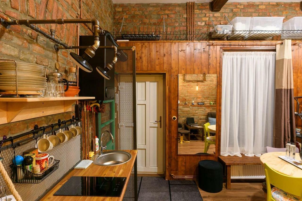 Studio V - Industrial & Original - Old Town Apartman Kolozsvár Kültér fotó